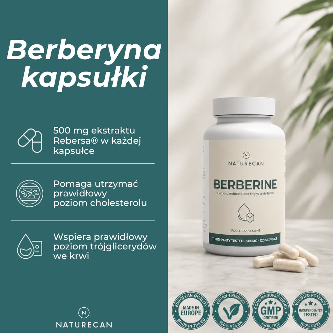 Berberyna Naturecan w kapsułkach – 500 mg ekstraktu Rebersa® w każdej kapsułce, zwiększona biodostępność i 120 porcji w opakowaniu