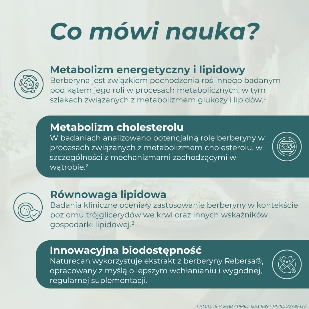 Infografika o berberynie Rebersa® i jej roli w procesach związanych z metabolizmem glukozy, lipidów, cholesterolu i trójglicerydów