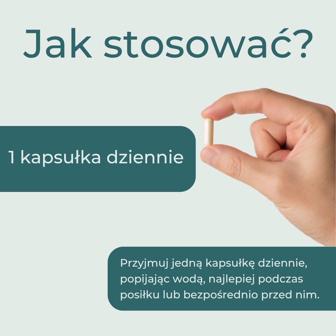Jak stosować berberynę Naturecan – jedna kapsułka 500 mg dziennie, najlepiej podczas posiłku lub bezpośrednio przed nim