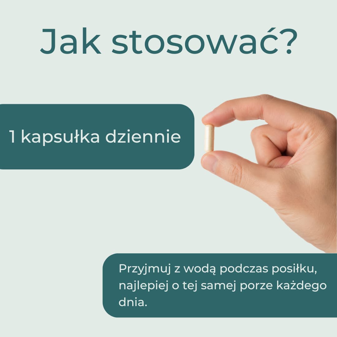 Jak stosować trans-resweratrol 500 mg – jedna kapsułka dziennie podczas posiłku