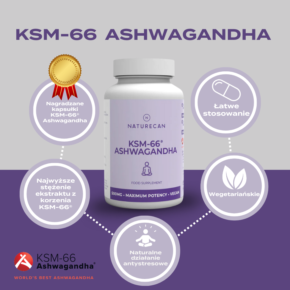 Infografika Naturecan KSM-66 Ashwagandha – nagradzane kapsułki, najwyższe stężenie ekstraktu z korzenia, łatwe stosowanie, formuła wegetariańska i naturalne działanie antystresowe.