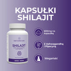 shilajit supplement