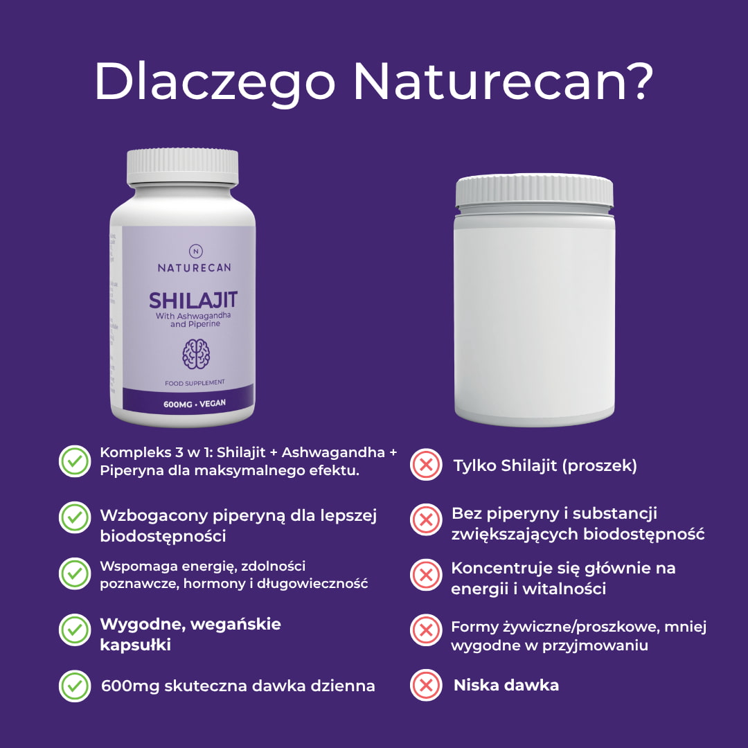 shilajit benefits