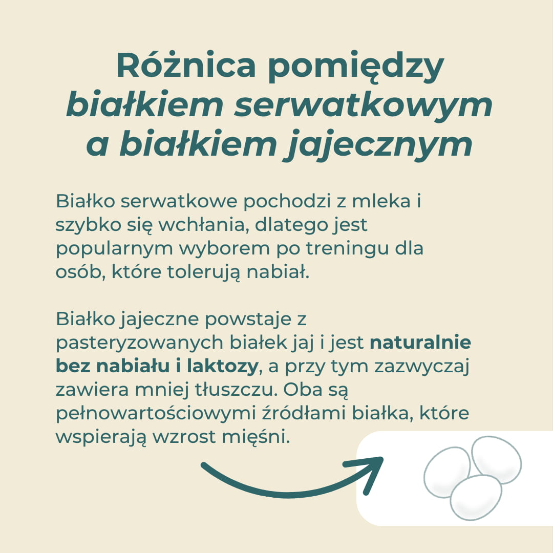 bialko jajeczne vs serwatkowe roznice porownanie bez laktozy whey
