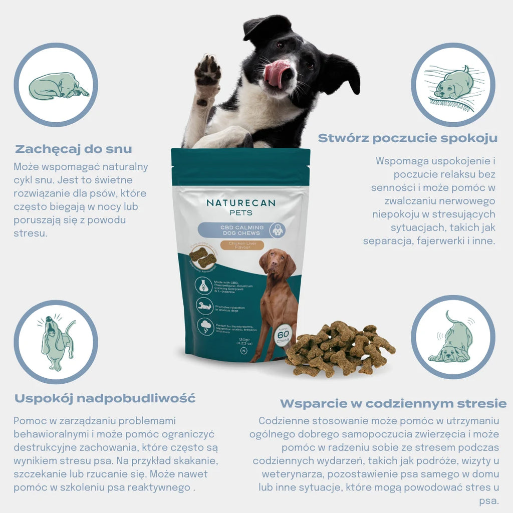 Grafika przedstawiająca korzyści uspokajających przysmaków CBD dla psa: wsparcie snu, poczucie spokoju, redukcja stresu i nadpobudliwości.