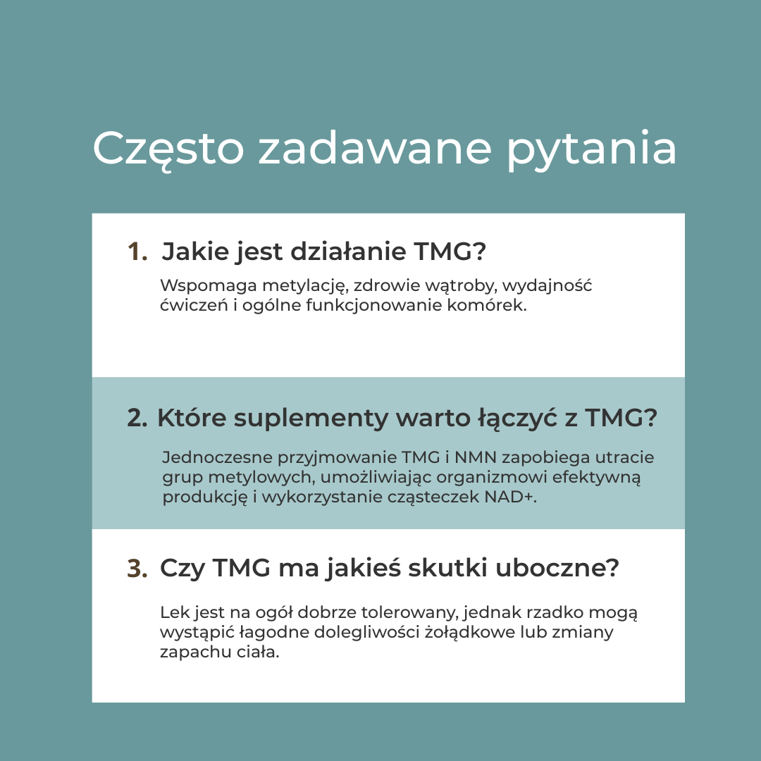 co to jest tmg
