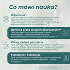 Infografika o cynku, który wspiera odporność, ochronę komórek przed stresem oksydacyjnym oraz zdrowe włosy, skórę i paznokcie.