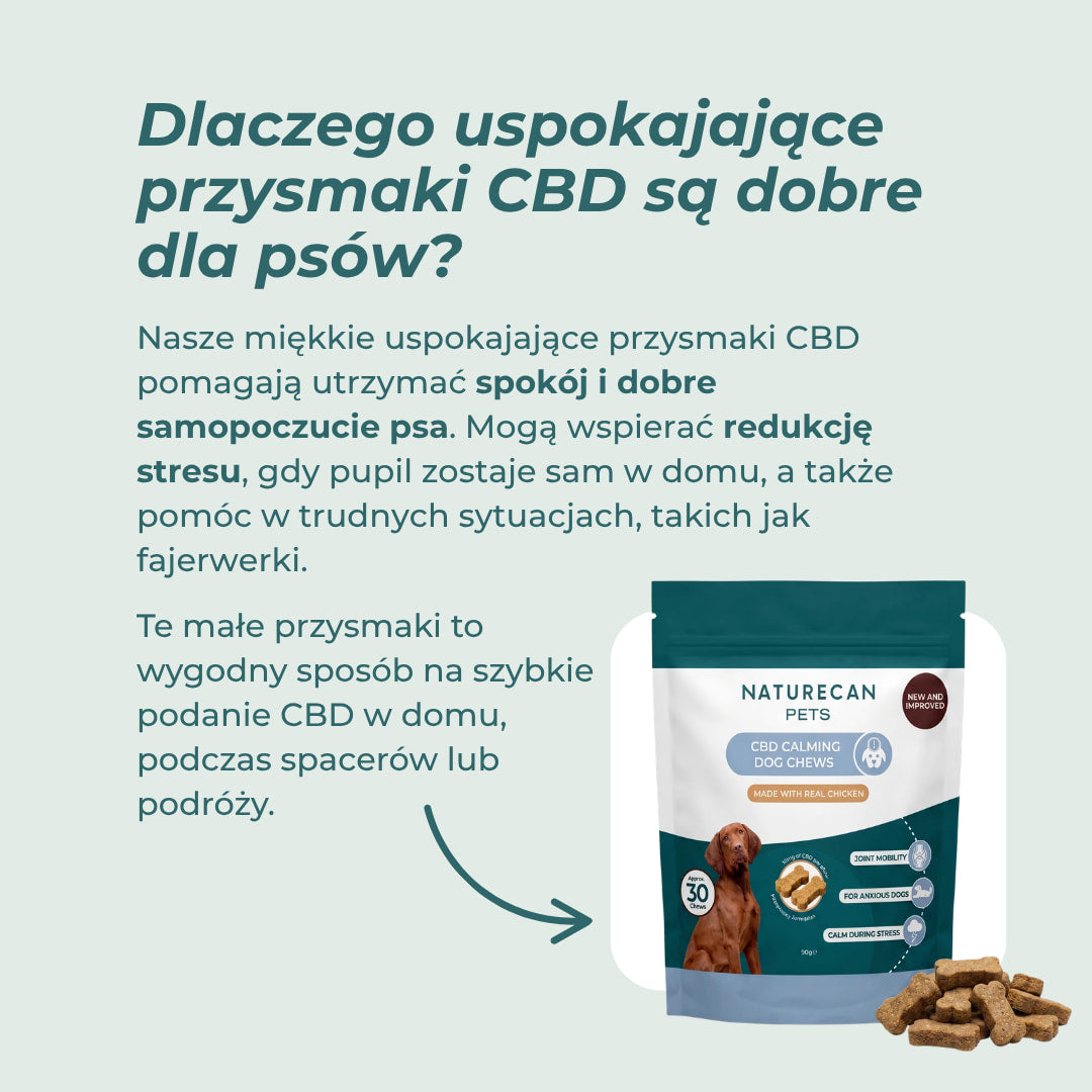 CBD przysmaki dla psa na uspokojenie