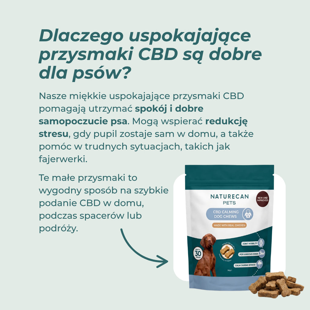 CBD przysmaki dla psa na uspokojenie