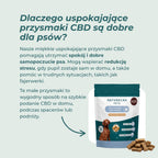 CBD przysmaki dla psa na uspokojenie