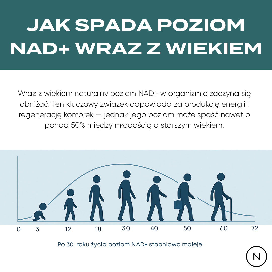Infografika przedstawiająca naturalny spadek poziomu NAD+ w organizmie wraz z wiekiem oraz jego wpływ na energię i regenerację.