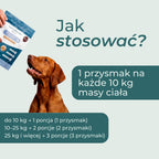 CBD przysmaki dla psa na uspokojenie