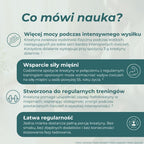 Kreatyna a wydolność fizyczna, siła mięśni i wsparcie treningowe