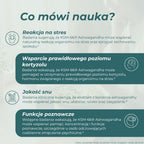 Potencjalne właściwości KSM-66 Ashwagandha – wsparcie w stresie, śnie i koncentracji