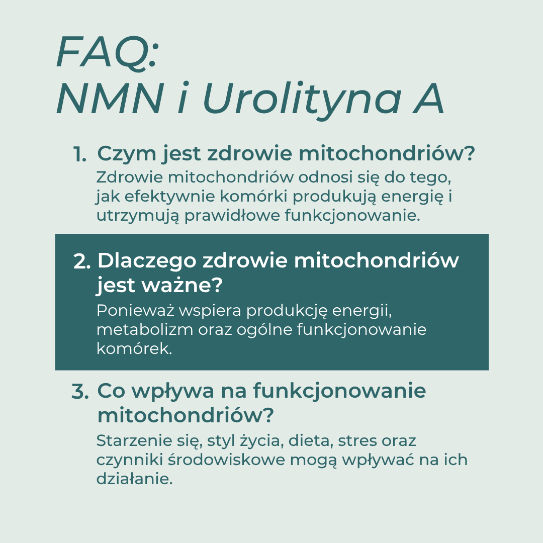 NMN i urolityna A FAQ – zdrowie mitochondriów i energia komórkowa