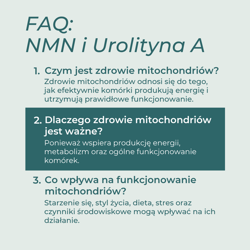 NMN i urolityna A FAQ – zdrowie mitochondriów i energia komórkowa