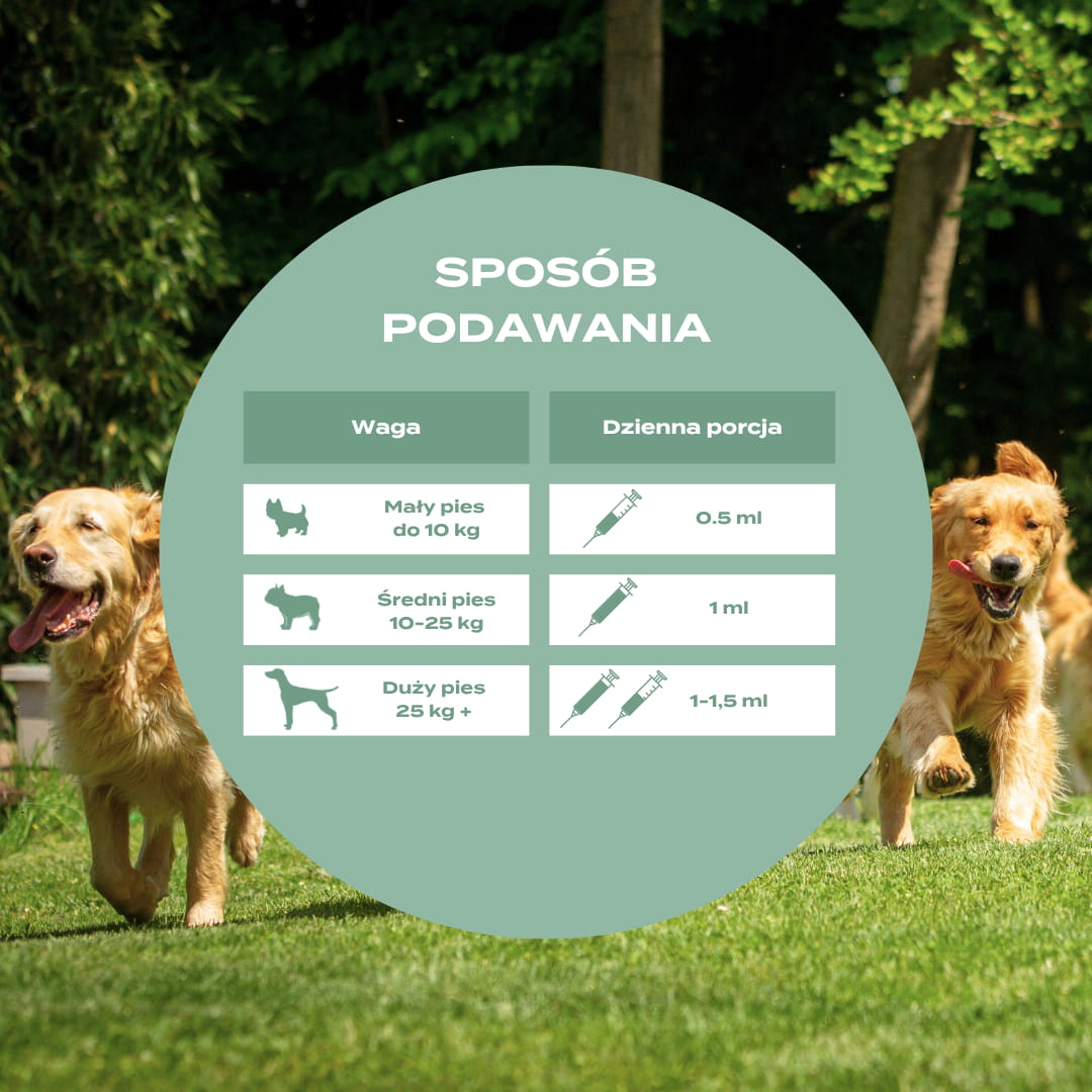 Sposób podawania oleju dla psów na stawy z UC-II z dawkami dla małych, średnich i dużych psów