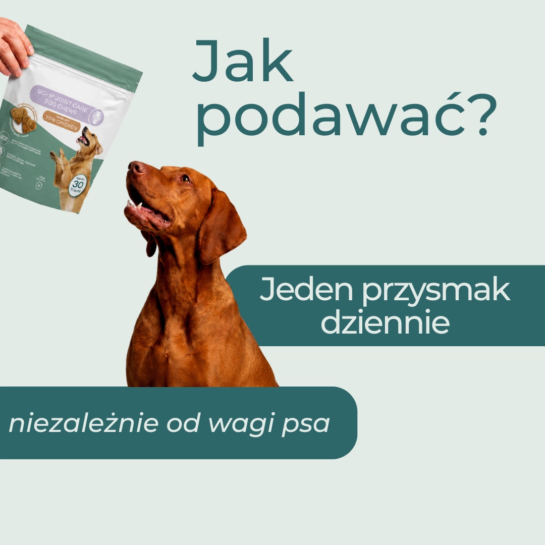 Jak dawkować przysmaki na stawy UC-II Naturecan – jeden przysmak dziennie niezaleznie od wagi psa