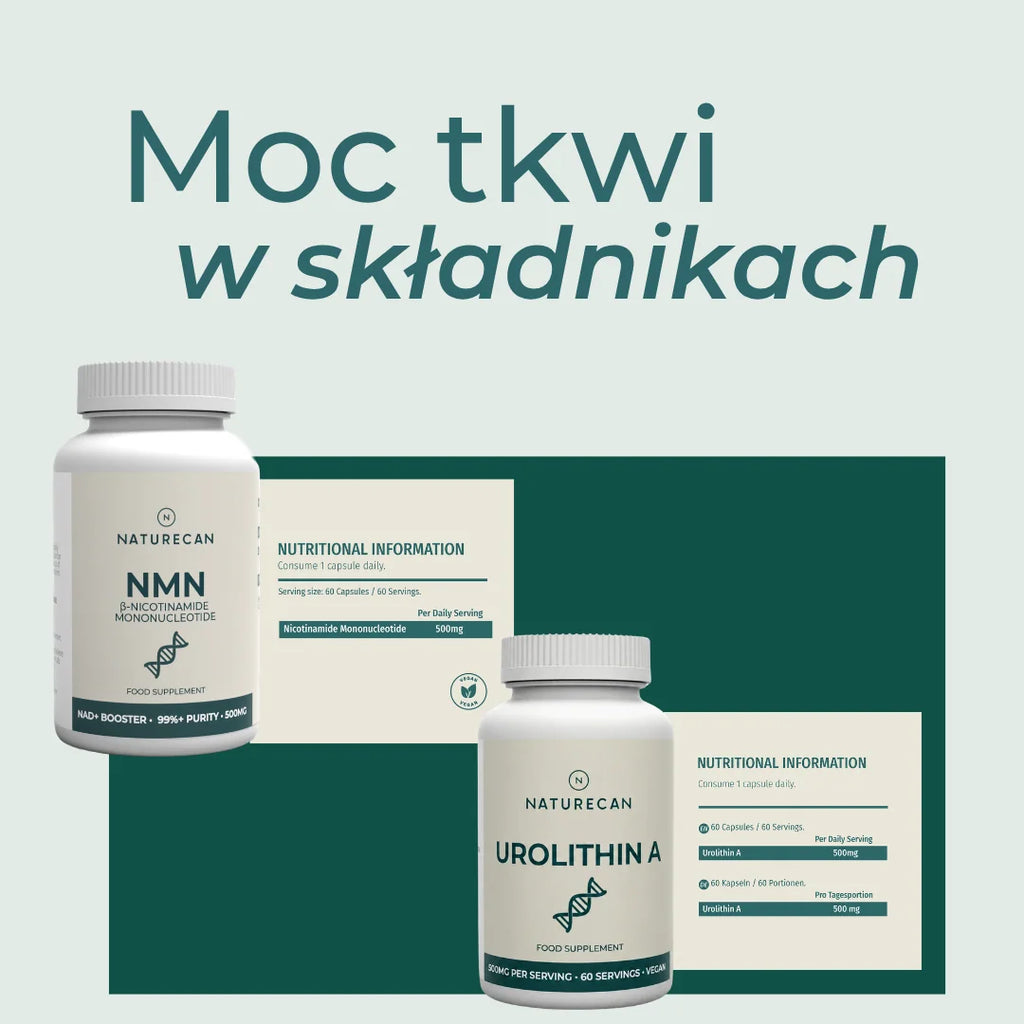 NMN i Urolityna A – skład suplementów na mitochondria i energia komórkowa
