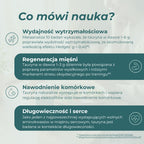 Infografika o badaniach nad tauryną, wydolnością wytrzymałościową, regeneracją mięśni i nawodnieniem komórkowym.