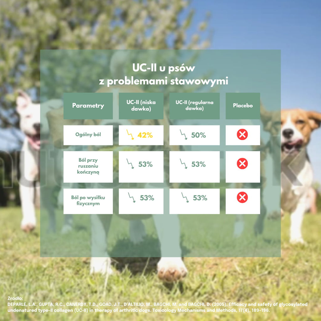Wyniki badania nad UC-II u psów z dyskomfortem stawowym w porównaniu z placebo