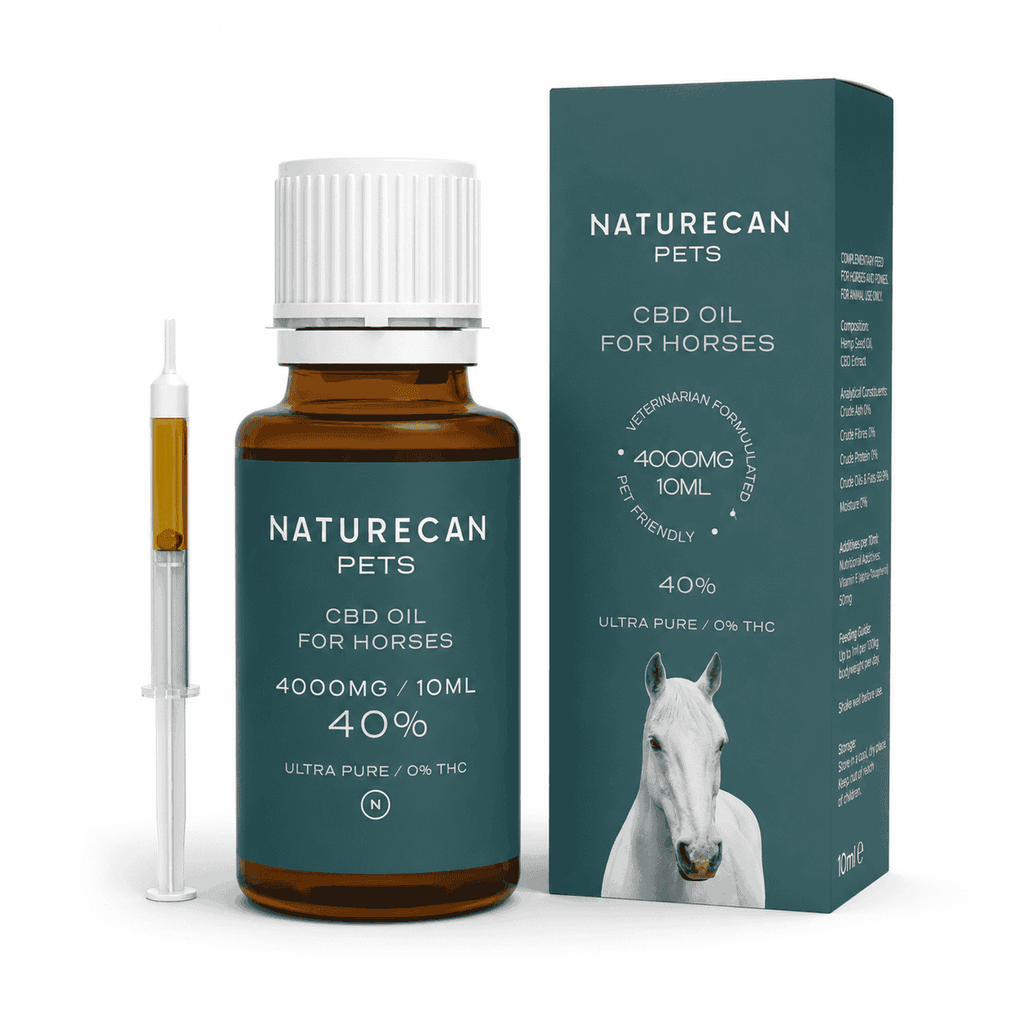 Olej CBD dla koni Naturecan Pets 40% w butelce 10 ml, pokazany z pudełkiem i strzykawką dozującą, na białym tle