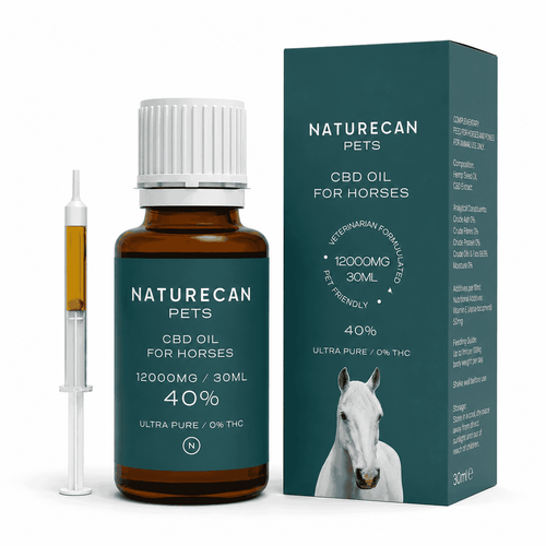 Olej CBD dla koni Naturecan Pets 40% w butelce 30 ml z pudełkiem i strzykawką dozującą, na białym tle